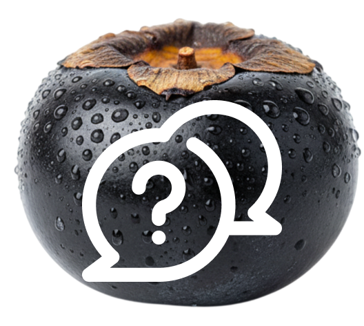 <span color-type="color" style="color: #0e1012;">Можно ли сажать саженцы чёрной хурмы зимой или ранней весной?</span><br>